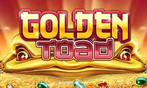Golden Toad Team